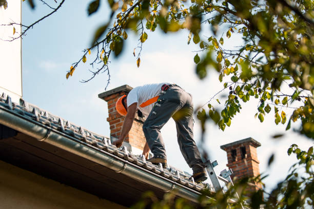 Best Roof Moss and Algae Removal  in Navy, VA