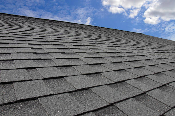 Best Roof Maintenance and Cleaning  in Navy, VA